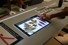 An audio tactile botanical atlas developed for VISTE is being presented to the teachers during a hands-on workshop with the VISTE augmented reality tool for inclusive classrooms. 